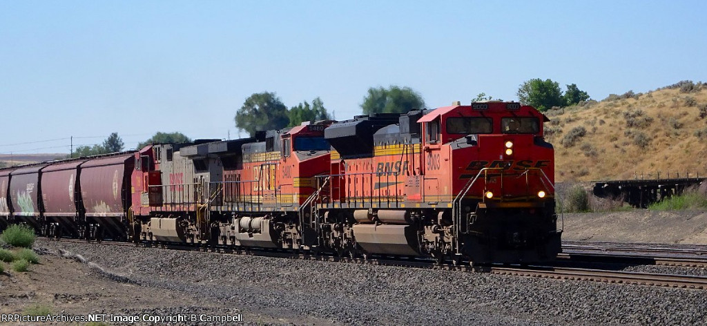 BNSF 9003-BNSF 5480-BNSF 789